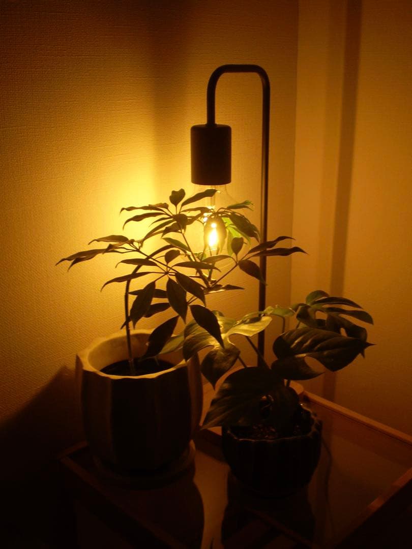 【動作確認済み】OLYMPUS FE-220 本体のみ