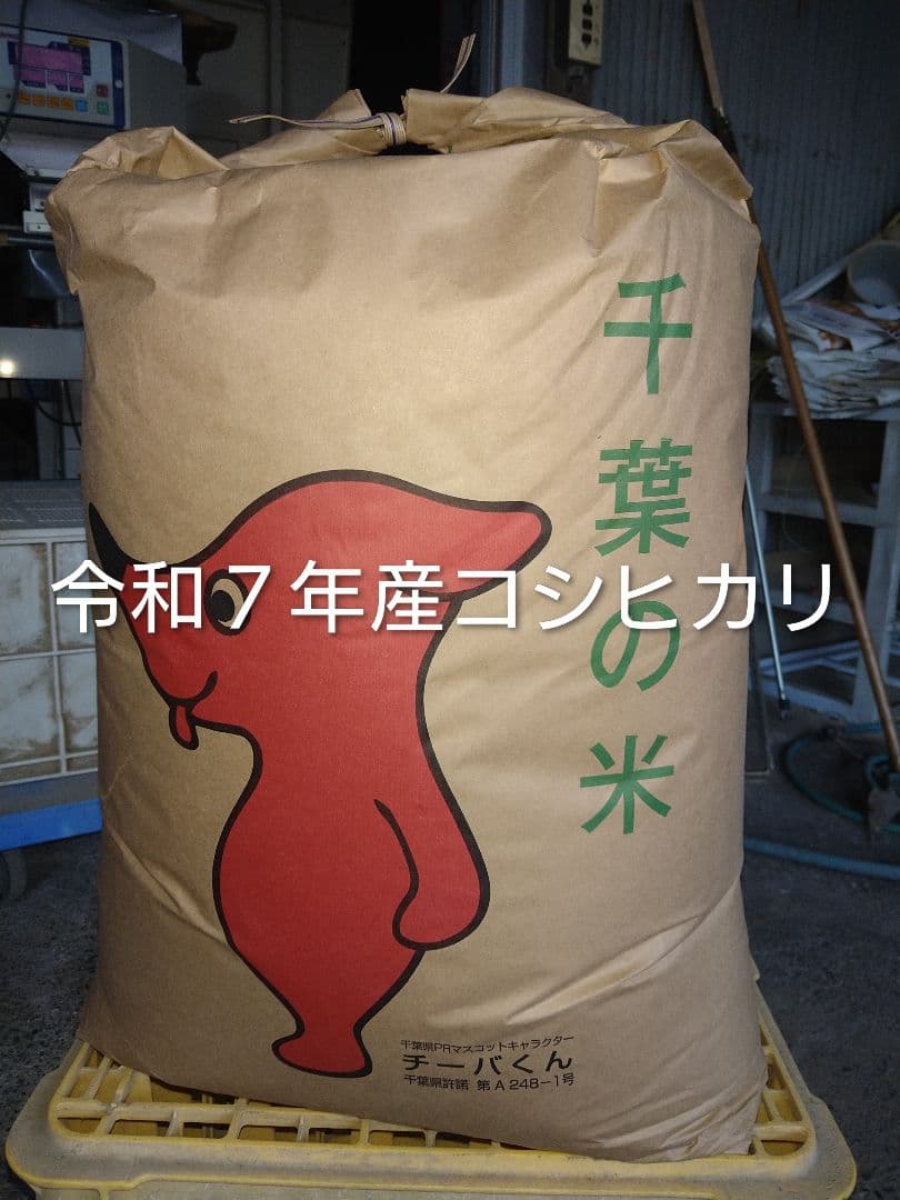 令和7年千葉県産農家直送コシヒカリ玄米30㎏関東甲信越の方へ　沖縄県離島の方除く