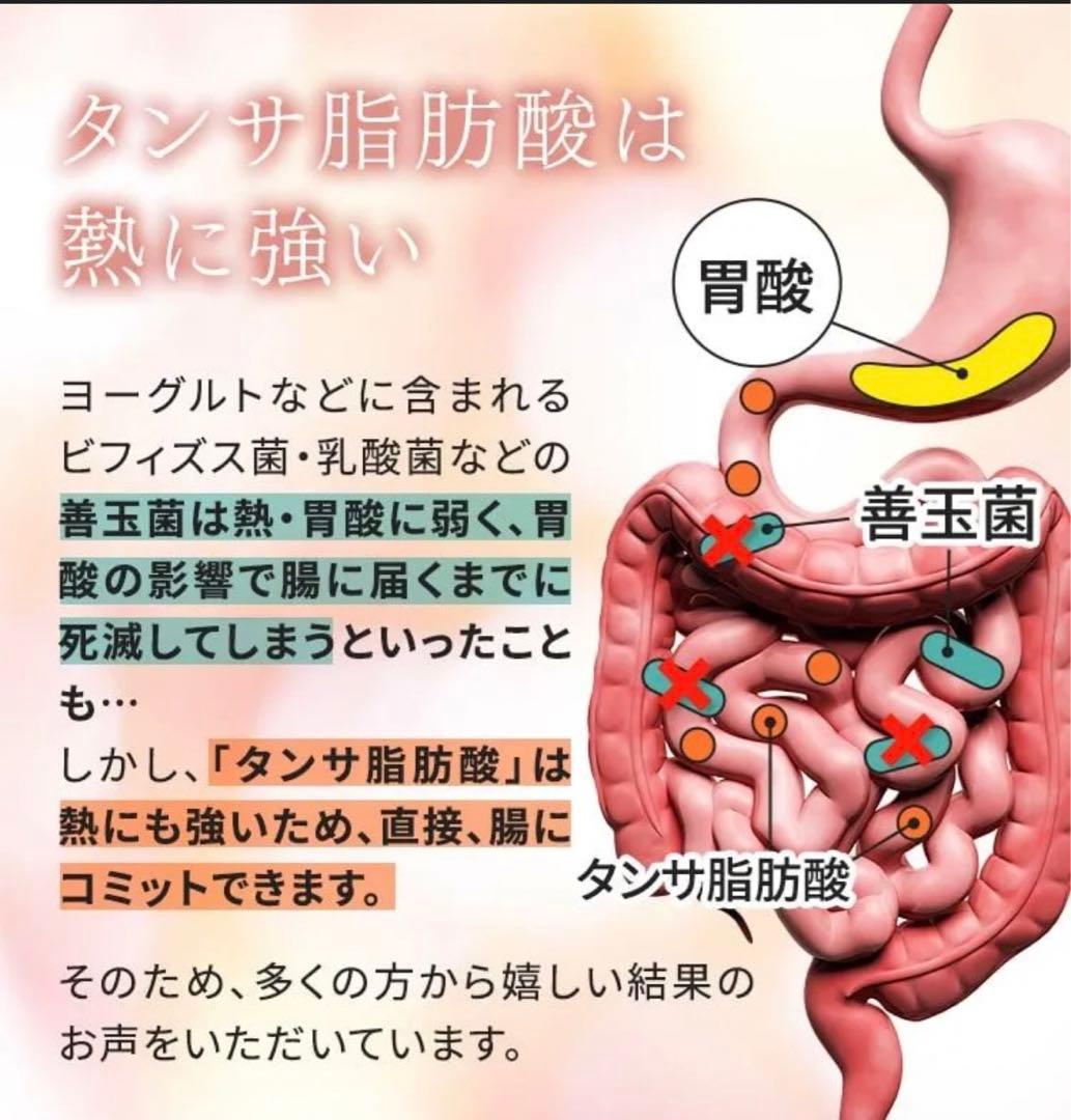 魔法のTANSA 409 ☆ベリー味 短鎖脂肪酸 腸活 乳酸菌★魔法のタンサ