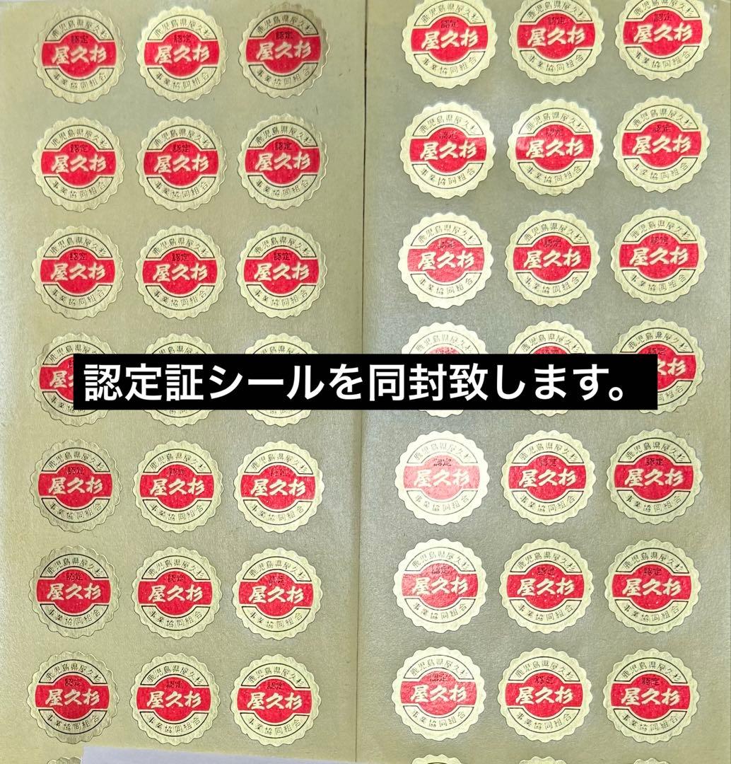 【ths】屋久杉　一枚板　長尺幅広材　ウレタン塗装