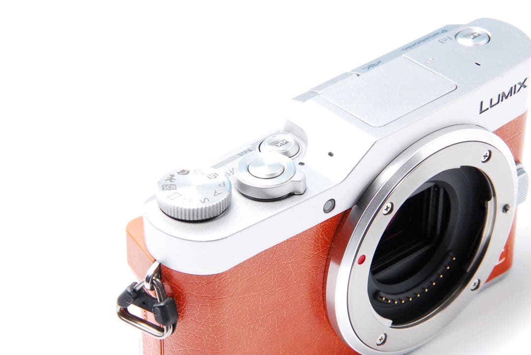 【ショット数611回】LUMIX GF9 SNS Wi-Fi チルト ミラーレス