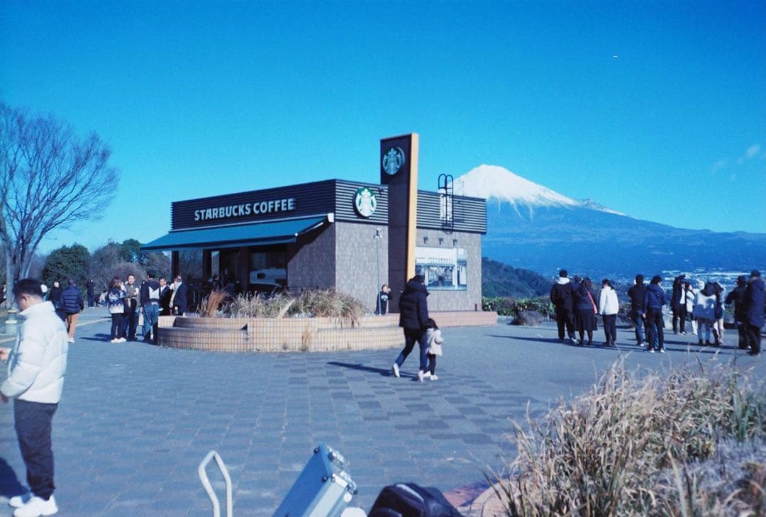 [#206] オリンパス OLYMPUS TRIP 35