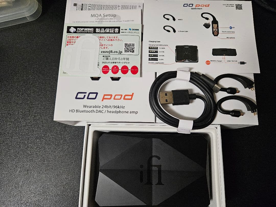 イヤホン iFi audio GO pod