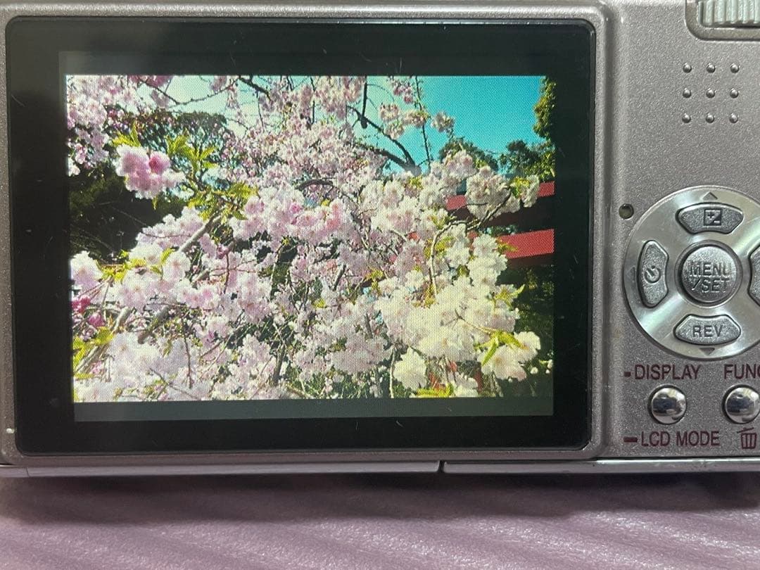 【動作確認済み】Panasonic LUMIX DMC-FX30 付属品付