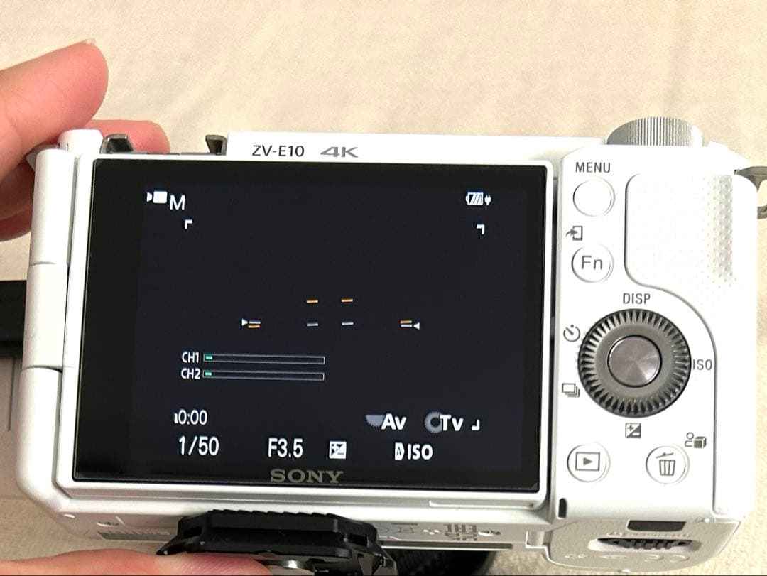 【流星光】SONY ZV-E10 + SIGMA レンズ