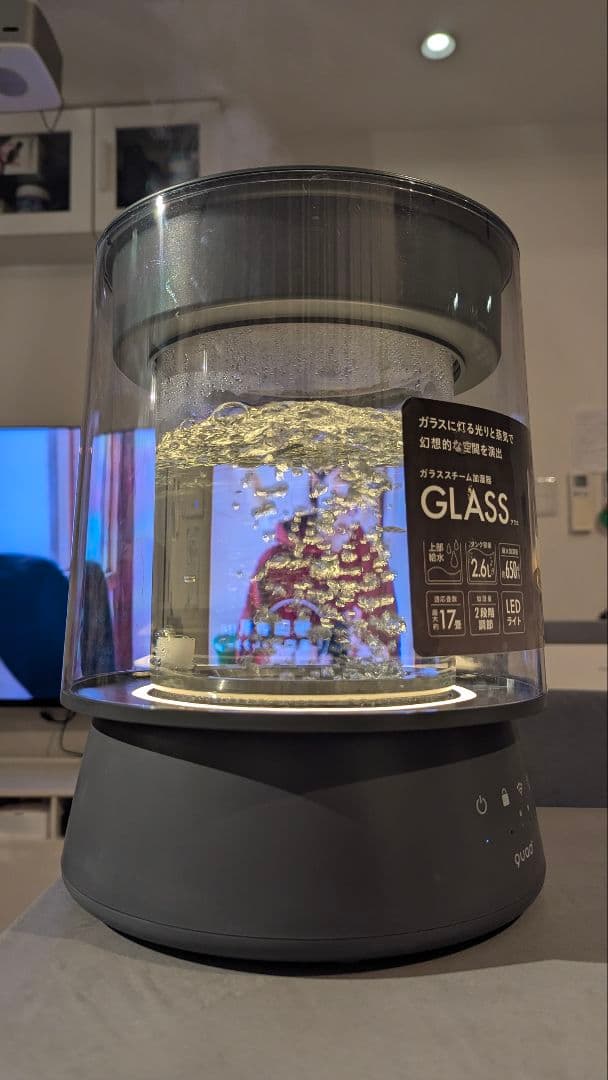 QUADS ガラス スチーム加湿器 ガラスポッド式 グレー