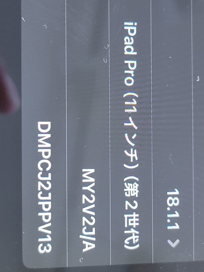 【ラッキー様用】Apple iPad Pro スペースグレー 本体