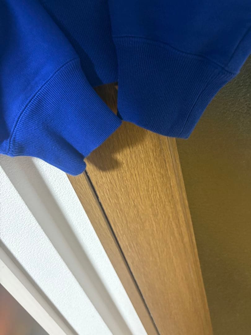 Goldwin Alpine Codex Group スウェット Mサイズ 青