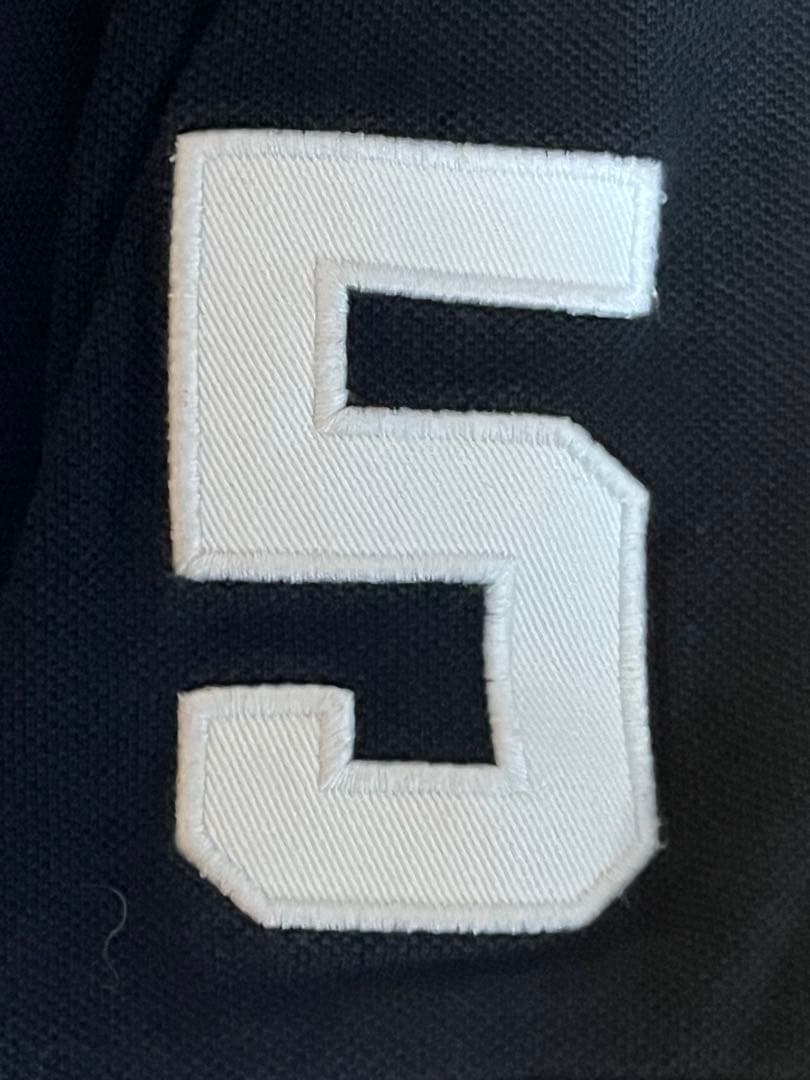 POLO RALPH LAUREN ビッグポニー NEWYORK 5