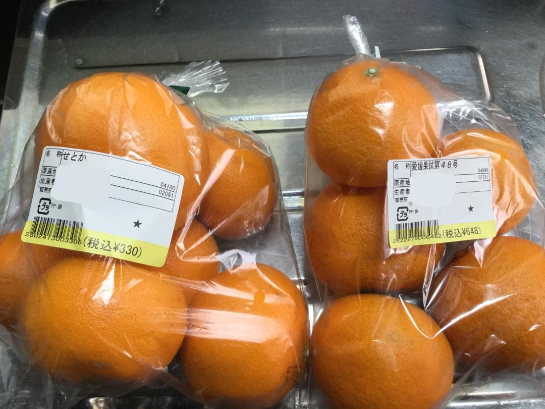 確認用/購入不可✖