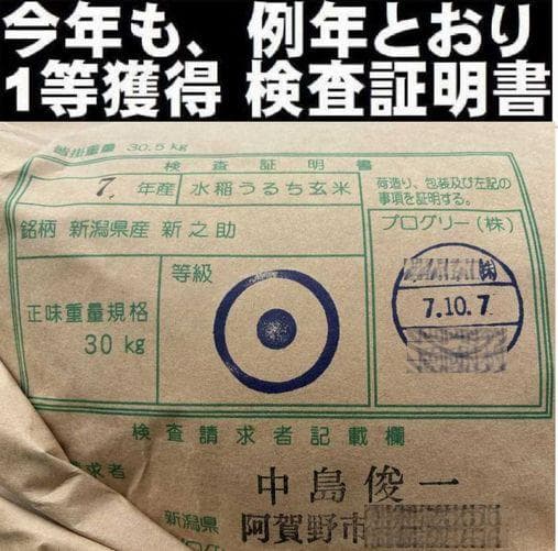 【無洗米】令和7年産　新潟　新之助　白米5kg × 2個★農家直送★色彩選別済