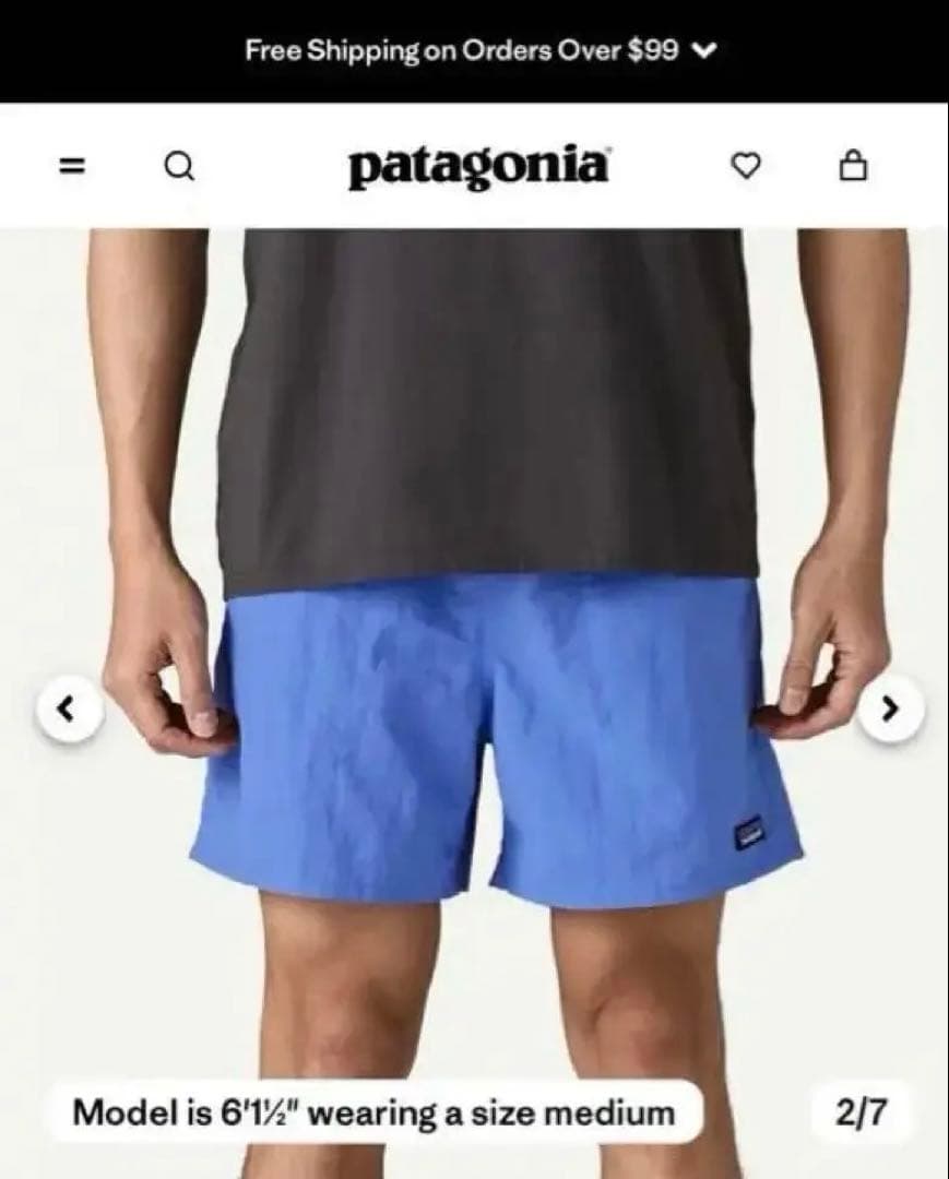 海外限定 パタゴニア バギーズ 5インチ SP25 ABNB Sサイズ 新品