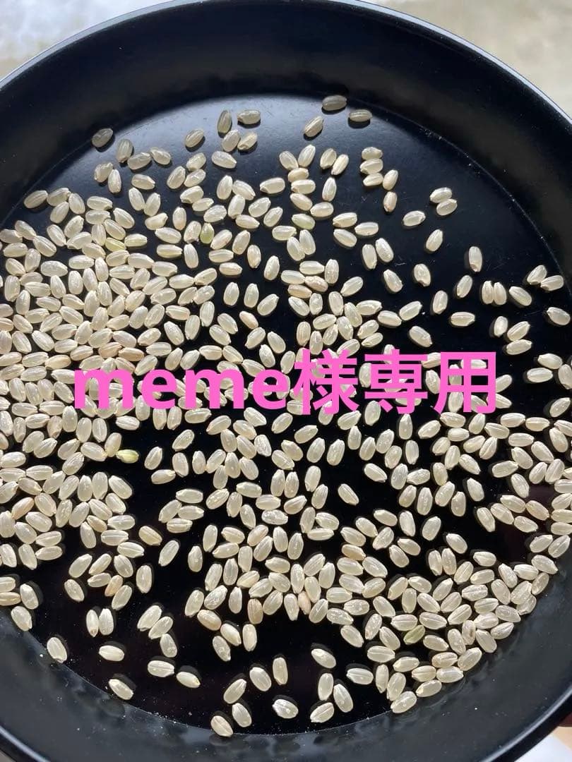 令和7年産ひとめぼれ　玄米30k 送料無料！