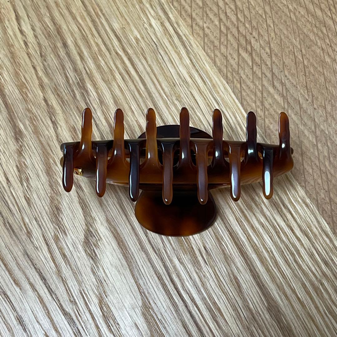 ALEXANDRE DE PARIS ヘアクリップ　Mサイズ