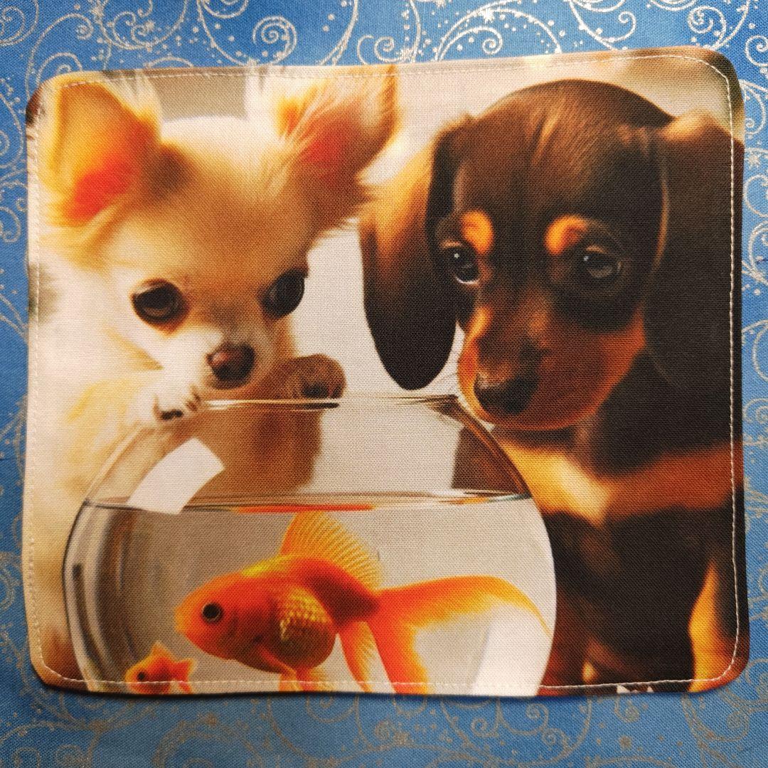 ご確認用　★CHIYO★　ハンカチ　ワンコさん柄　24枚