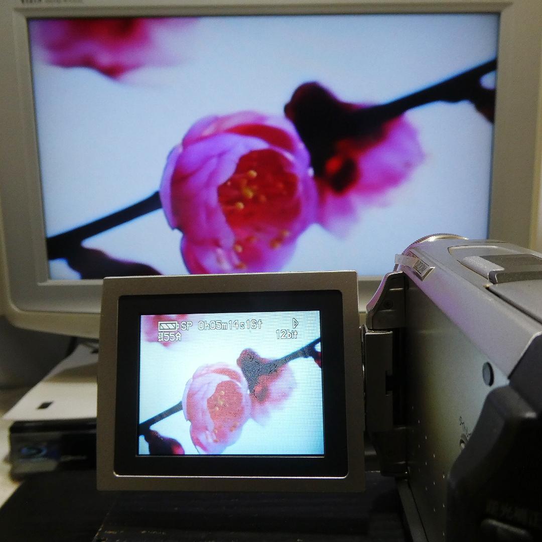 動作良好 パナソニック NV-DS1 MiniDVビデオカメラ ダビングに最適