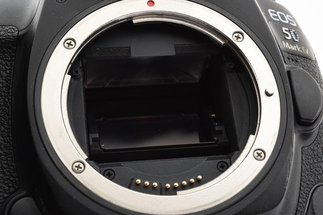 Canon EOS 5D Mark IV/標準&望遠ダブルレンズセット