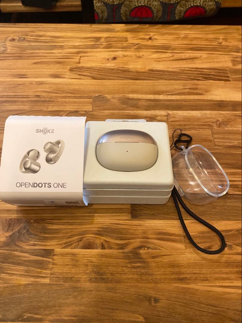【ほぼ未使用】Shokz OpenDots ONE ケースのみ　グレー シルバー
