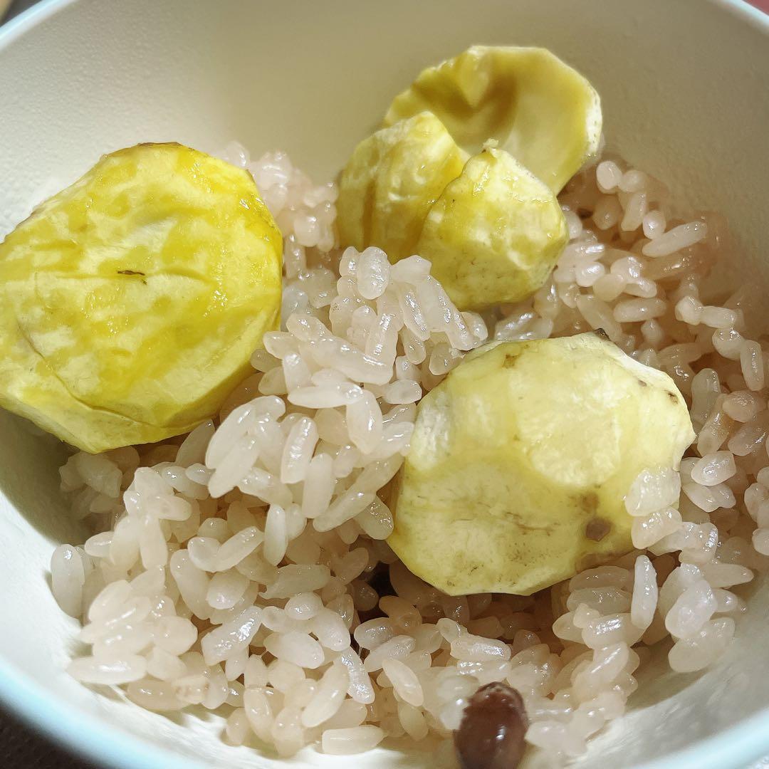 農家直販 減農薬 令和7年 こがねもち もち米 10キロ 玄米 白米も可