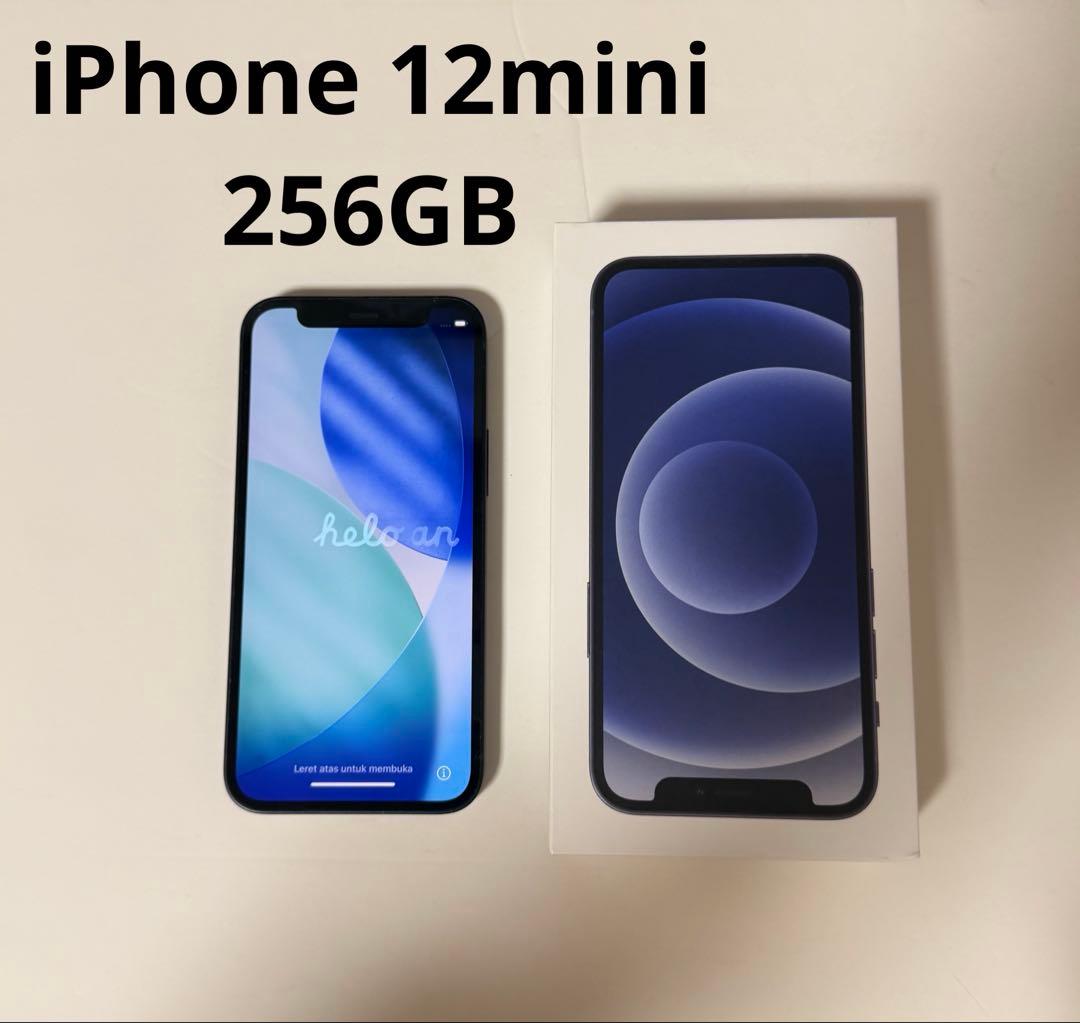 Apple iPhone 12 mini ブラック　256GB 本体