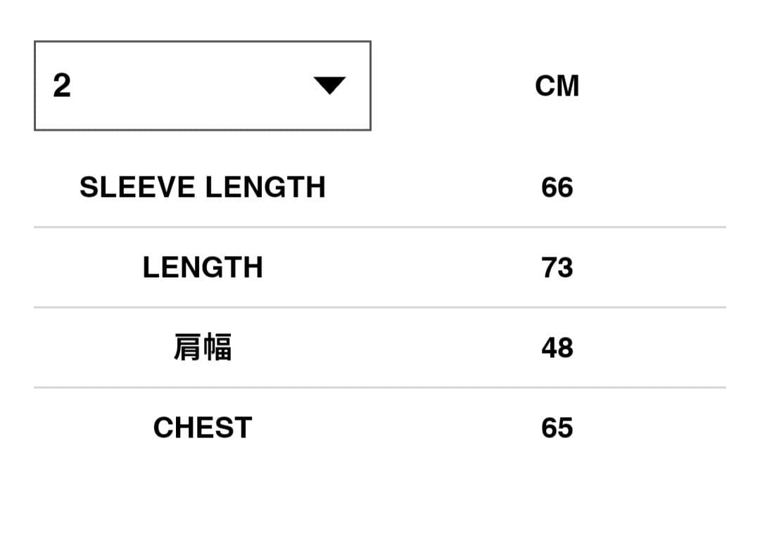 sacai Carhartt Reversible Duck Jacketサカイ