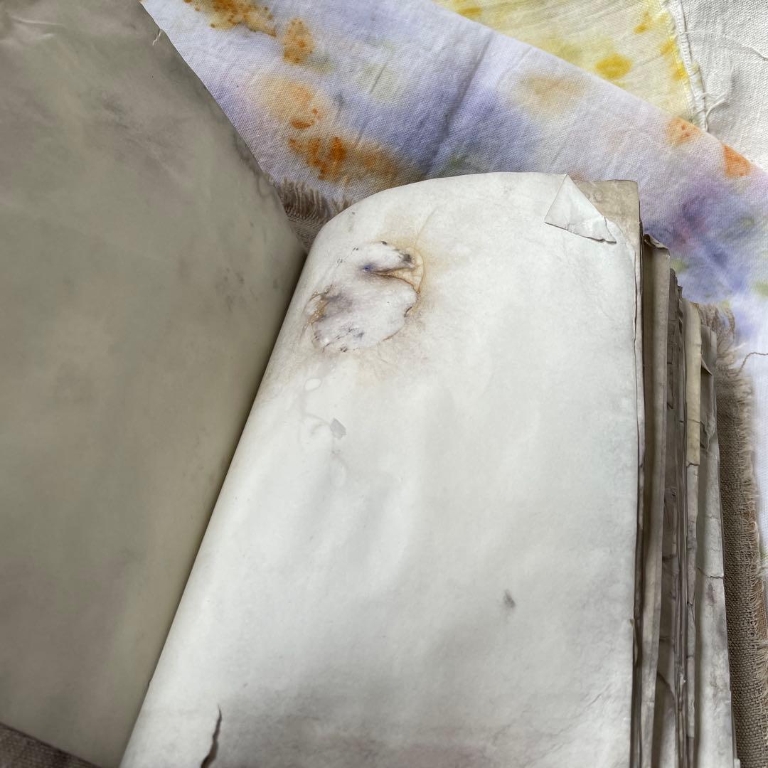 7月20日　ぱおら様2冊　「花ゲリラの本」　 「襤褸の本13〜路地裏の本2〜」