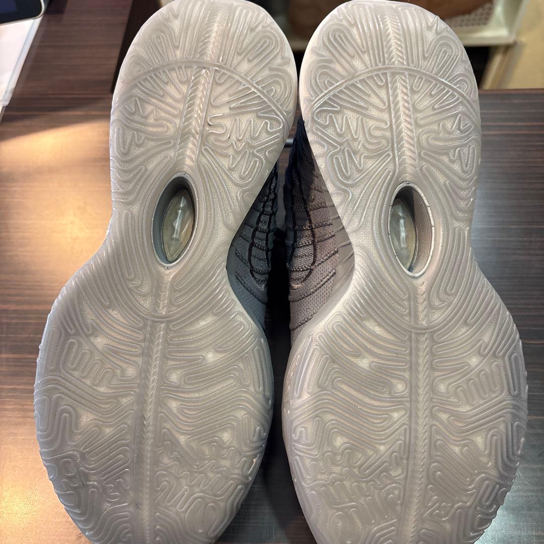 猫*ー様 Nike LeBron21 グレー