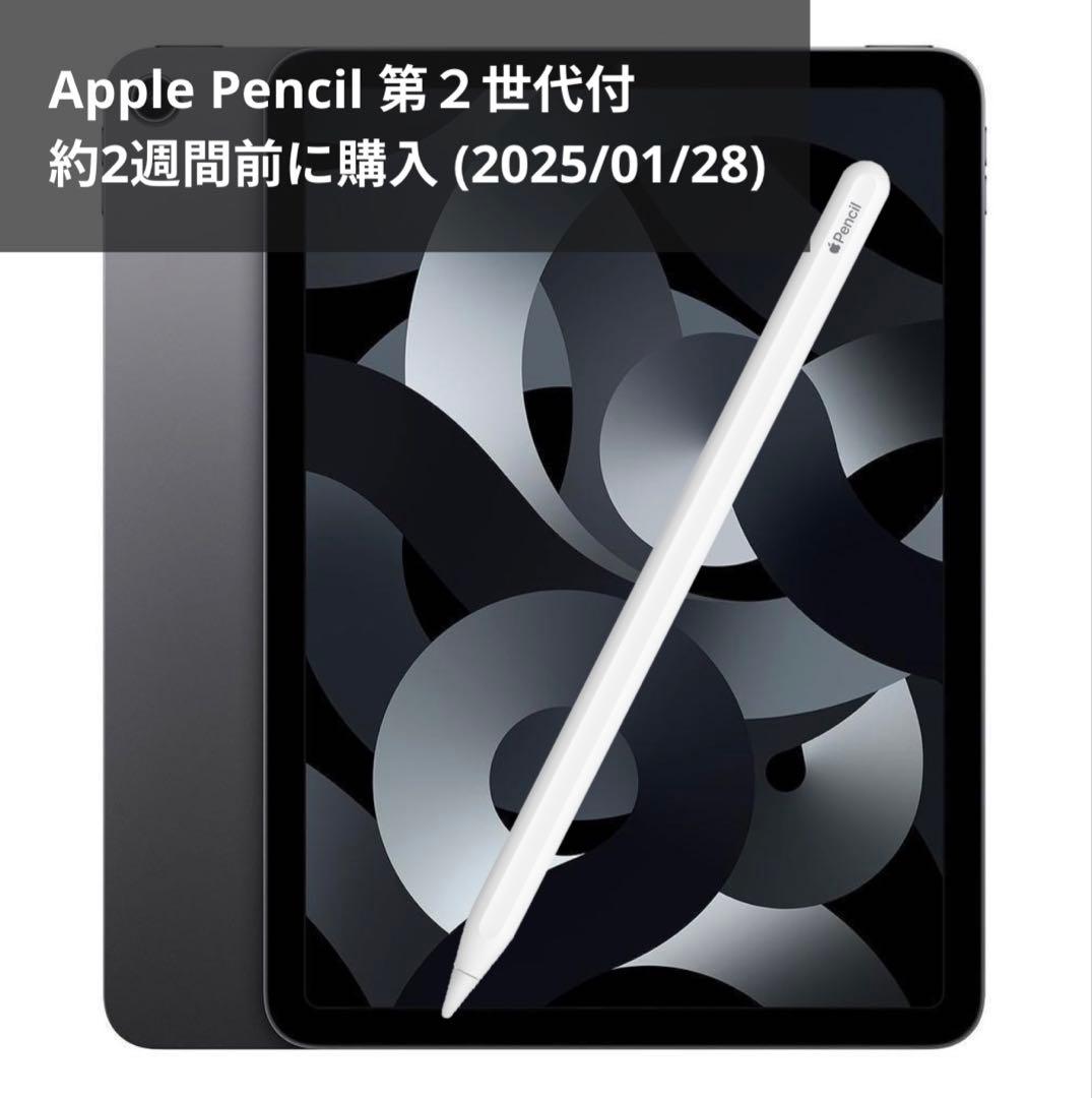 iPad Air (第5世代) 256GB Apple Pencil 第2世代付