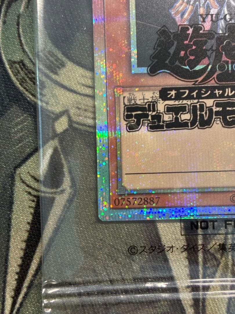 【新品未開封】異次元の女戦士　プリシク　1枚【DKC入賞景品】