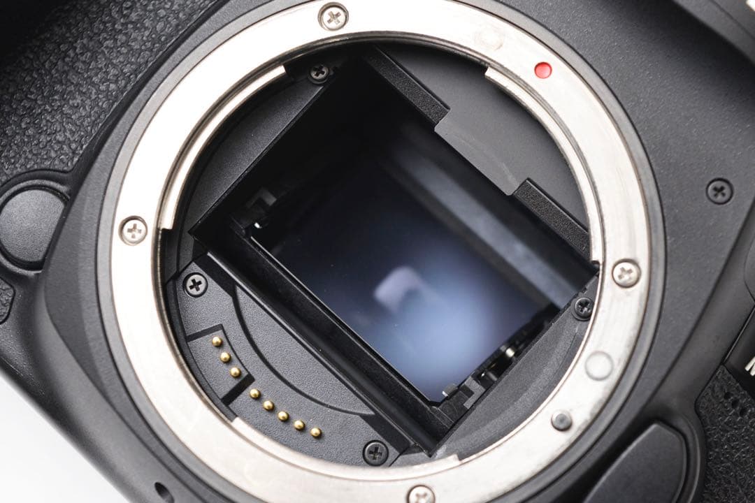 付属品付/Canon EOS 5D Mark IV標準&望遠&単焦点レンズセット