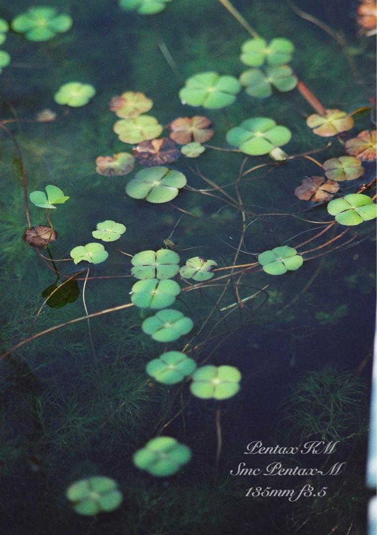 ★完動品＊美品★pentax km／135mm★初期保証＊作例多数