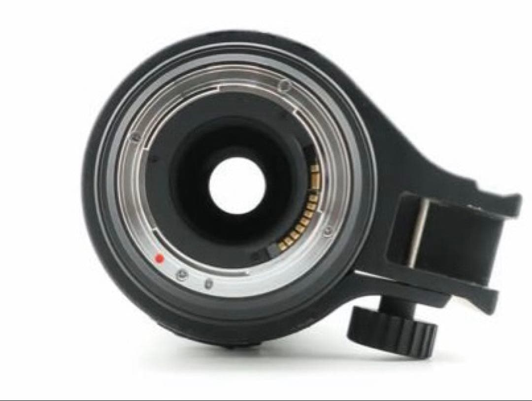 レンズ(ズーム) SIGMA APO 50-500mm F4.5-6.3 DG OS HSM