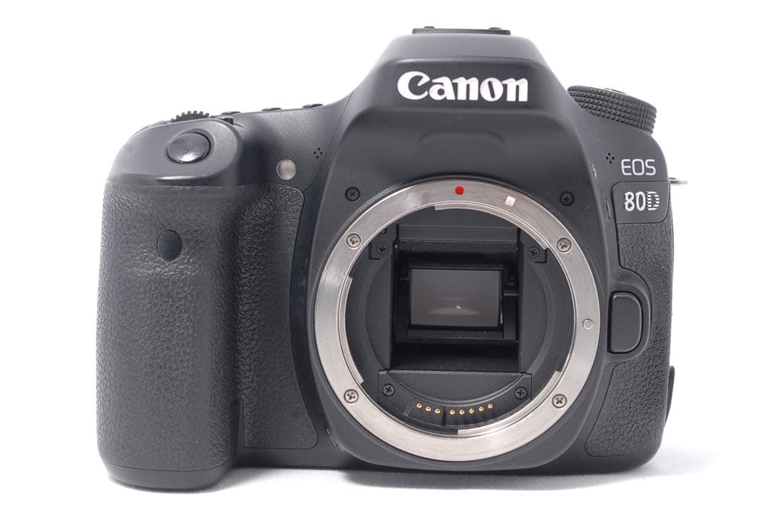 極美品✨Canon EOS 80D 標準レンズ付★Wi-Fi搭載★高画質・自撮り