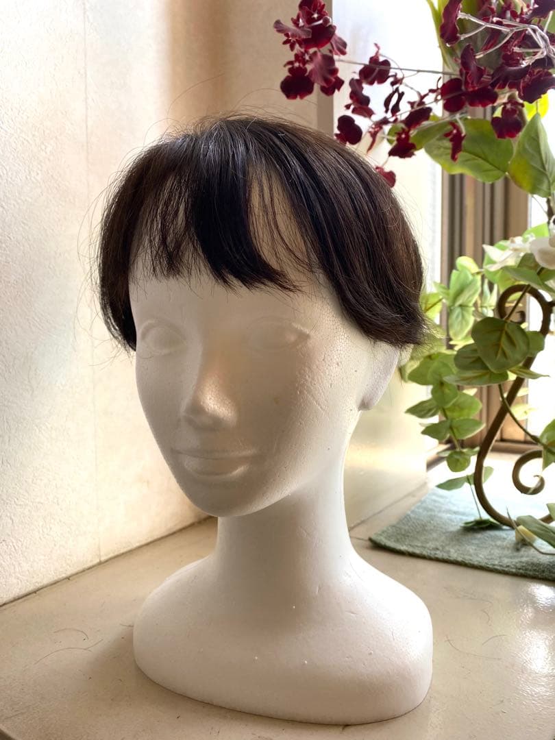 ジュリアオージェ(アートネーチャー)部分ウィッグ ショートボブ前髪あり