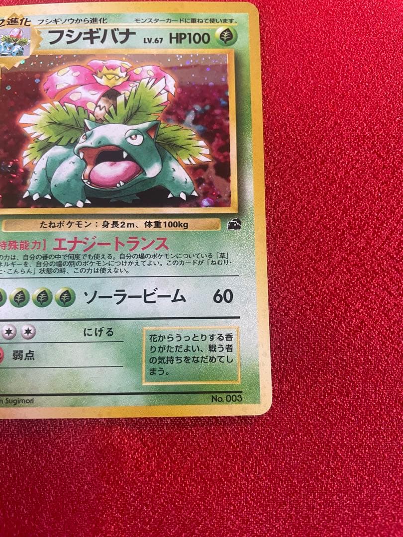 【美品-希少】イントロパック フシギバナ カメックス 計２枚 ポケモンカード旧裏