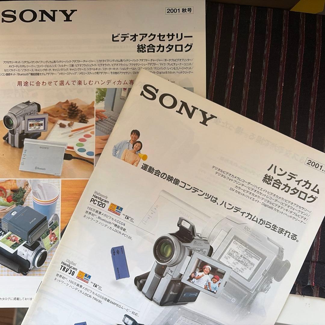 希少セット SONY DCR-PC100 IFM5 VCL-HG0737ケース付