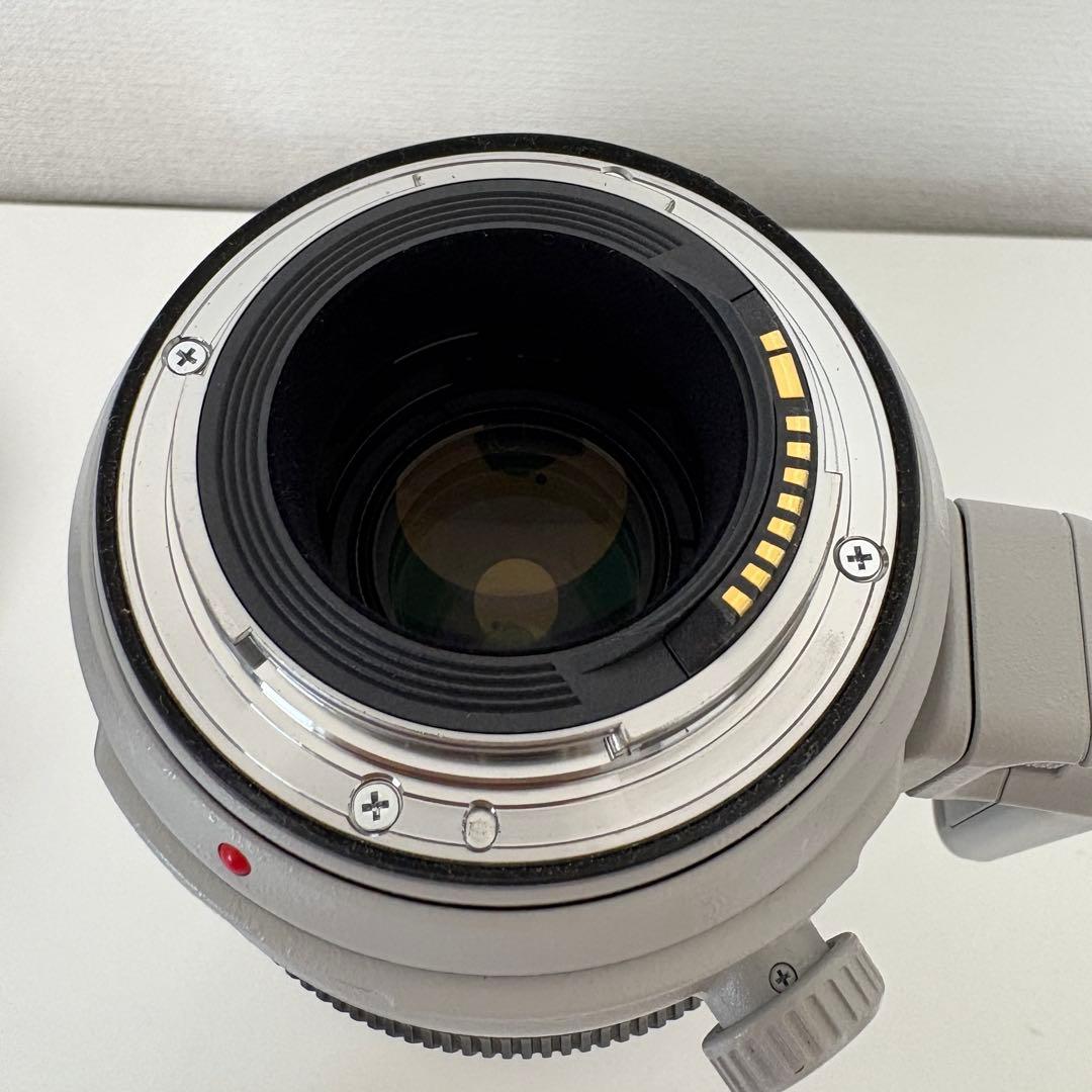【中古】EF100-400mm F4.5-5.6L IS II USM