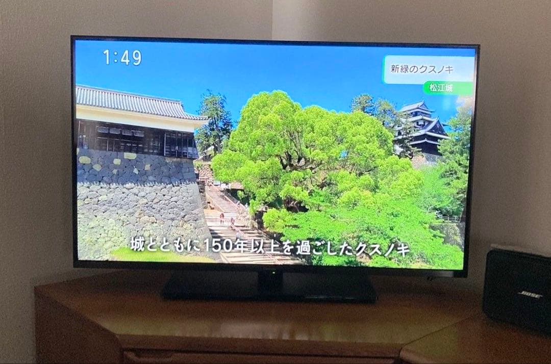 大型テレビ/Panasonic VIERA/4K/TV-43W90A