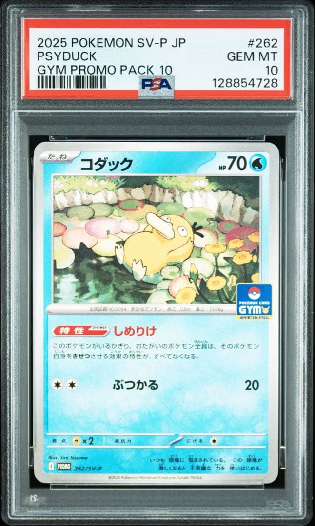 【PSA10】コダック ジムプロモ しめりけ Psyduck 6連番
