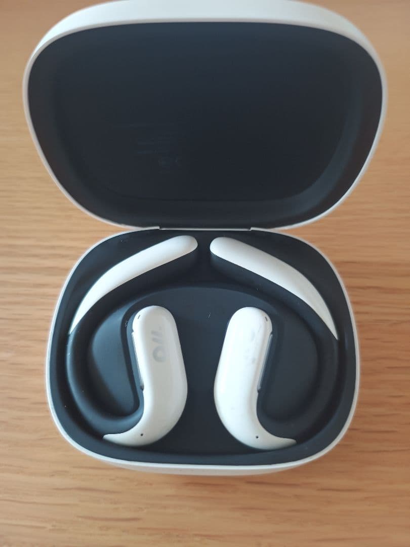 oladance OWS Pro 骨伝導イヤホン