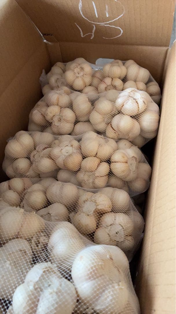 新物　青森県にんにく10Kg M