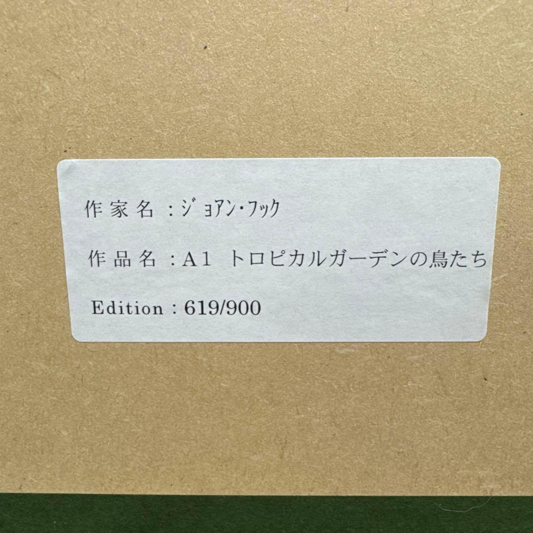 ジョアン フック Joan Hook トロピカルガーデンの鳥たち