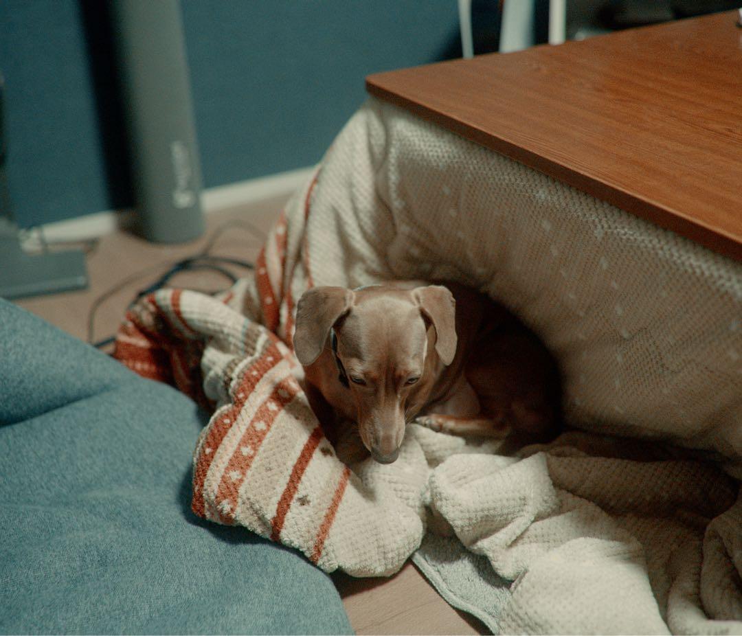 【作例有】Nikon Z7＋SHOTEN マウントアダプター