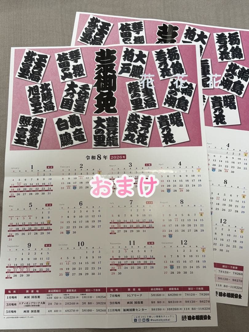 大相撲✨2026年 令和8年 相撲カレンダー 10部 おまけ付き