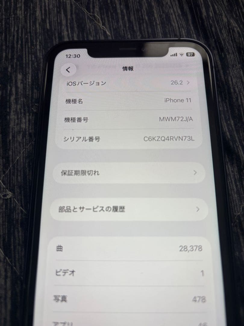 iPhone 11 256GB カスタム　ジャンク