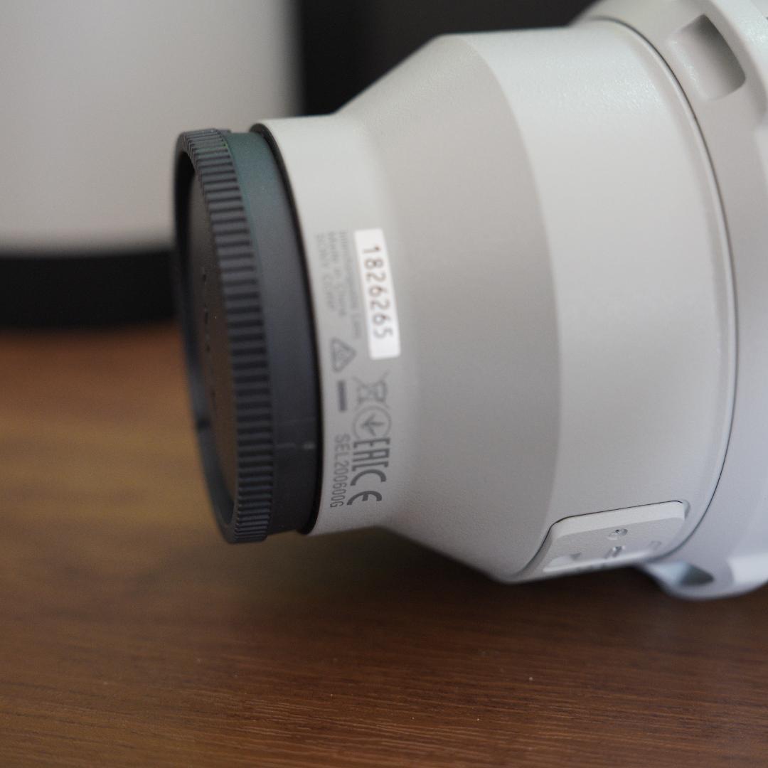 レンズ(ズーム) SONY SEL200600G