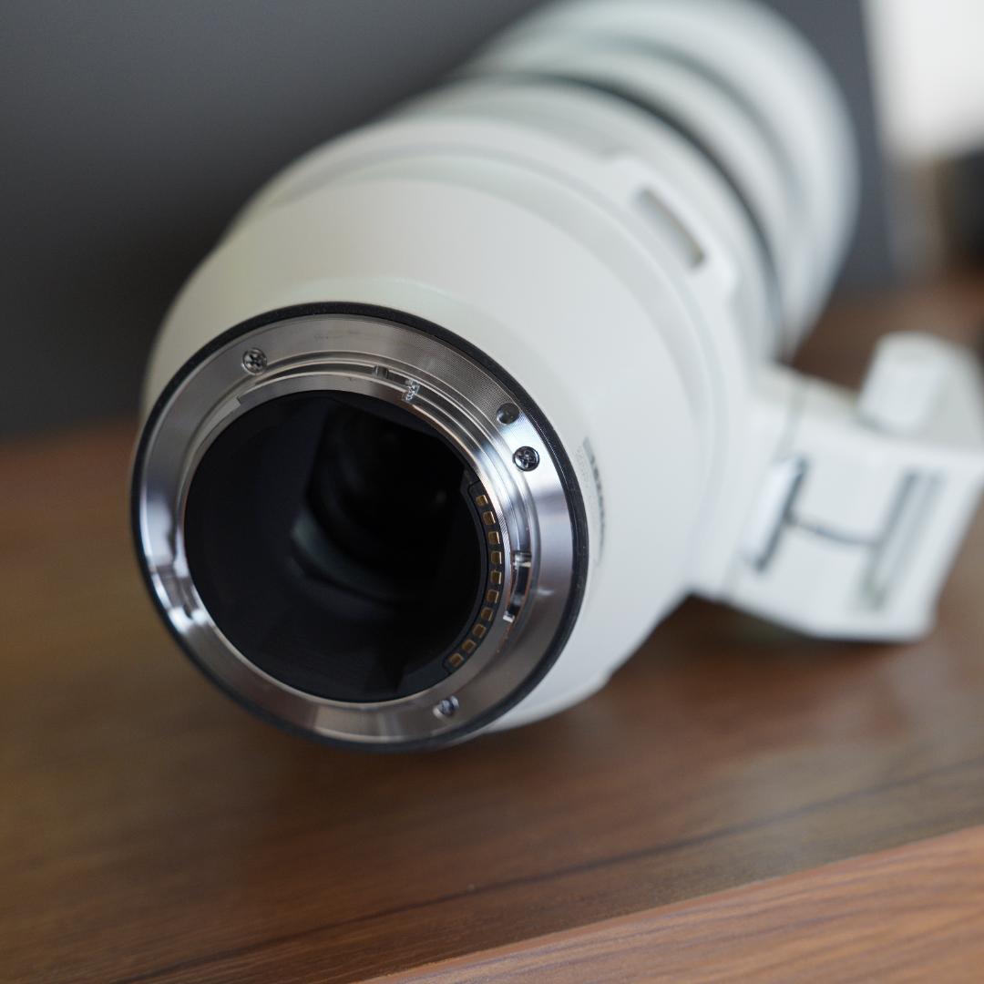 レンズ(ズーム) SONY SEL200600G