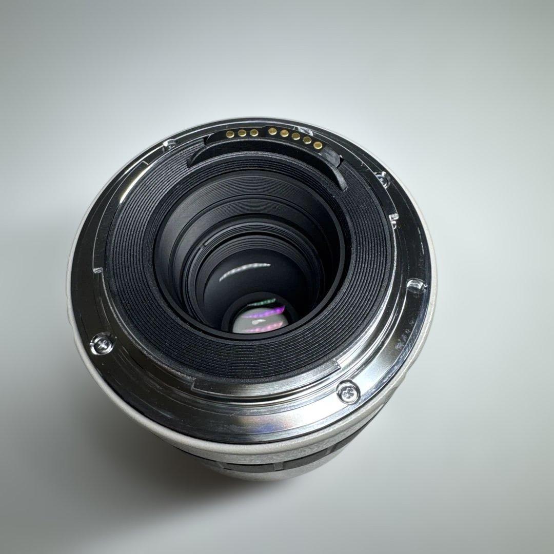 美品 Kenko EFマウント TELEPLUS PRO 300 3X テレコン