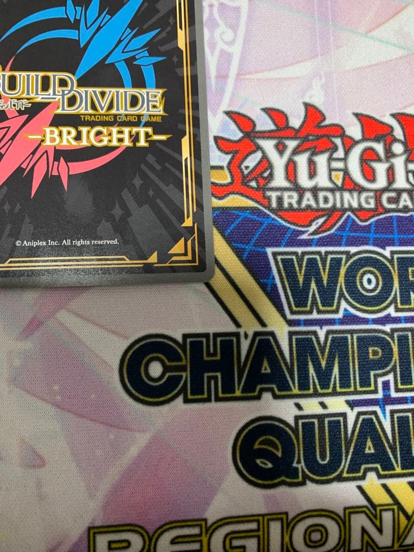 純情可憐な少女 乾心寿 SC