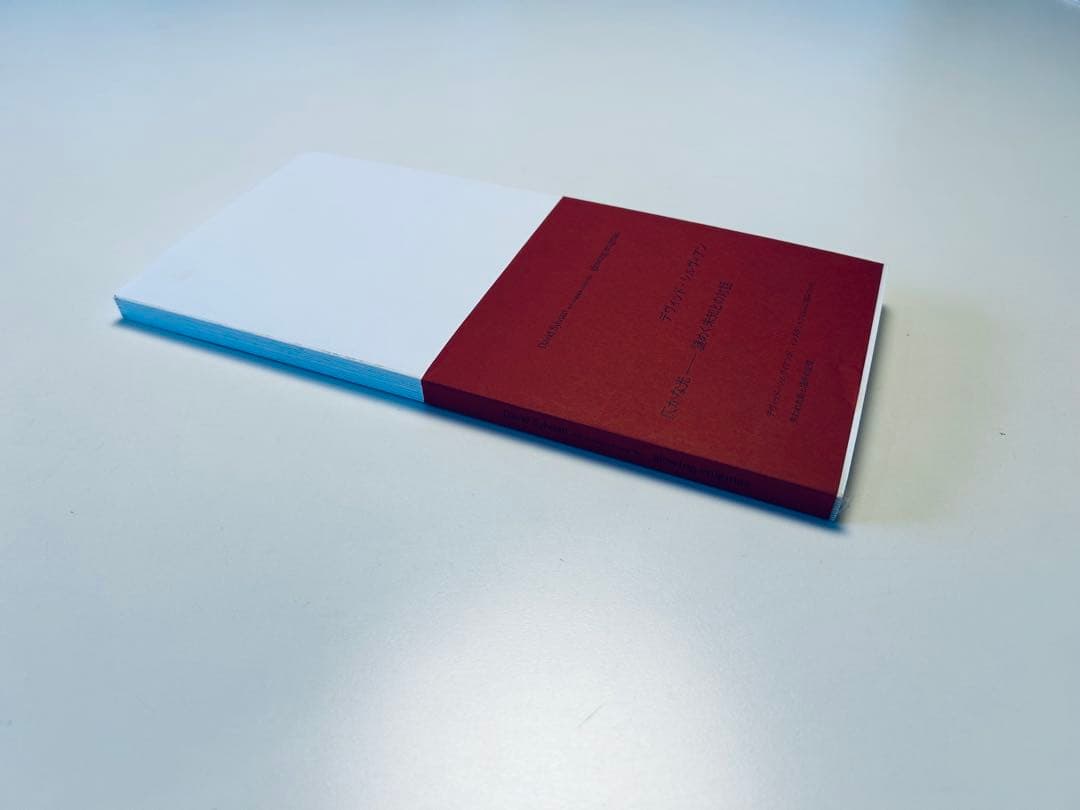 デヴィッド・シルヴィアン　ポラロイド写真集